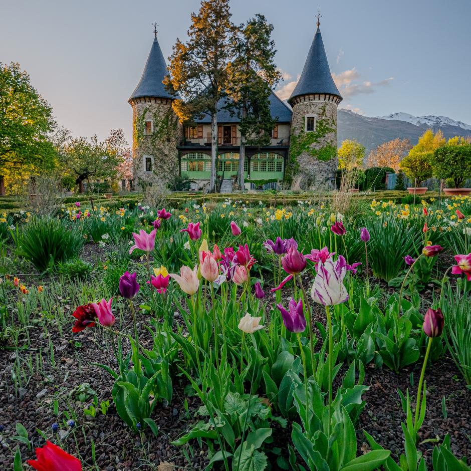 Château de Picomtal